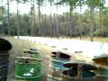 Beekeeping,Beekeepers Open feeding bees sugar or corn syrup in drums to honey bee hives,Georgia