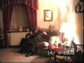 the three chanters : unplugged   seated