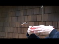 Hand Feeding Allen\