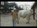 camba ganadero y un potosino!!