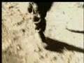 Army Ad History