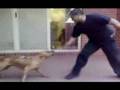 videos de Zena's Training