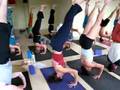Desiree is teaching advanced Anusara Yoga at OMTime 11