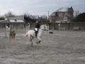 23 nov 2008 : CSO Courcelles 10