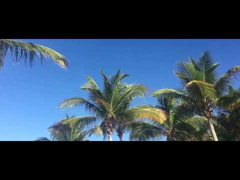 Image de prévisualisation YouTube