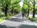 Street near Aoyama 1 chome