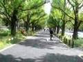 Street near Aoyama 1 chome