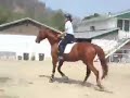 Erica and Kody Erica and Kody