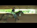 En Vogue 9yr old TB Mare for Sale or Lease