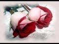 ?airin G�revi