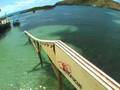Autofocus - Trailer