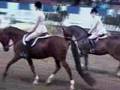 US Arabian Hunter Pleasure AOTR 18-35 FINAL