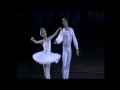Vienna Festival Ballet - Swan Lake