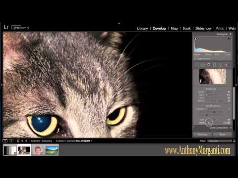 how to reduce noise in lightroom