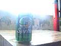 Jarred The Healthy Soda Can