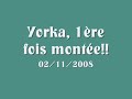 Yorka 1ère sortie montée