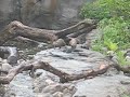 Otter Hike
