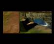 Oucast Outtake 2