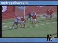 Ippogrifo Sarno-Turris