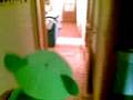 videos de coke loko!!xD!!