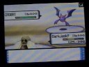 Pokemon Wifi Battles: #42