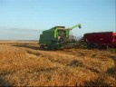 moisson escourgeon avec deutz top liner