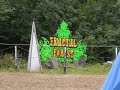 bong hit