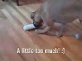 A Package for the B\