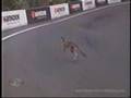 Kangaroo Motor Race Near Miss