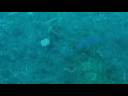 Comino Land You tube Comino Land You tube