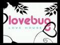 Lovebug-Derby-Visual