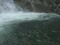 ARHAVİ   KAMİLET   ALABALIK   Salmon   Trout   Forelle   Tru