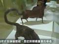 文建會-以斯文豪為名─19世紀台灣紀行特展開幕典禮