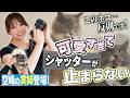 【実姉初出演】猫好きグラドル、本気で猫を撮った結果…