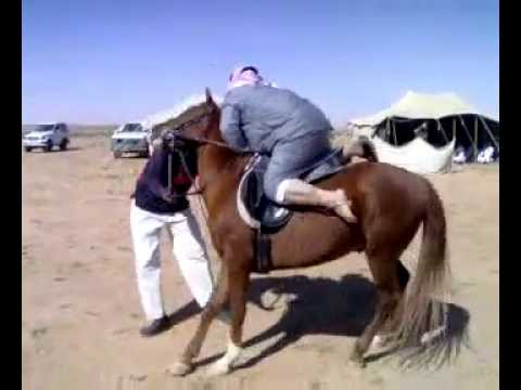 اضحك يضحك مواقف مضحكه ضحك جامد اضحك يضحك مواقف مضحكه ضحك جامد