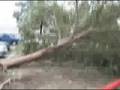 Ike Aftermath in NW Houston