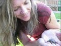 Turtle Eats Huge Worm - Sheldons Recipe V1