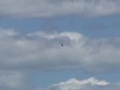 2007 rhode island ang open house   f 22 raptor demonstration