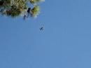 In the flight path (1 of 2) In the flight path (1 of 2)