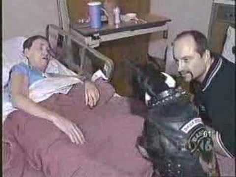 Bandit, a Boston Terrier, Visits the ...
