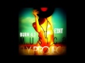 Fly Project - Musica (BuRn 4.3 Edit)
