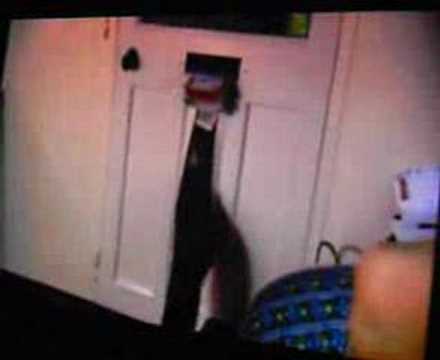 paddy power paddy power