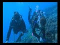 reef check australia: the reef needs you     tube