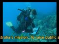 reef-check-australia-the-reef-needs-youtube.html