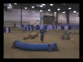 Blue 2007 NADAC Champs- Special Skills Classes Blue 2007 NADAC Champs- Special Skills Classes