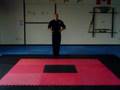 Ninjutsu Basic Moves