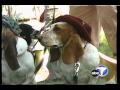 Interfaith Blessing of the Animals 2005 in Long Beach, Calif Interfaith Blessing of the Animals 2005 in Long Beach, Calif