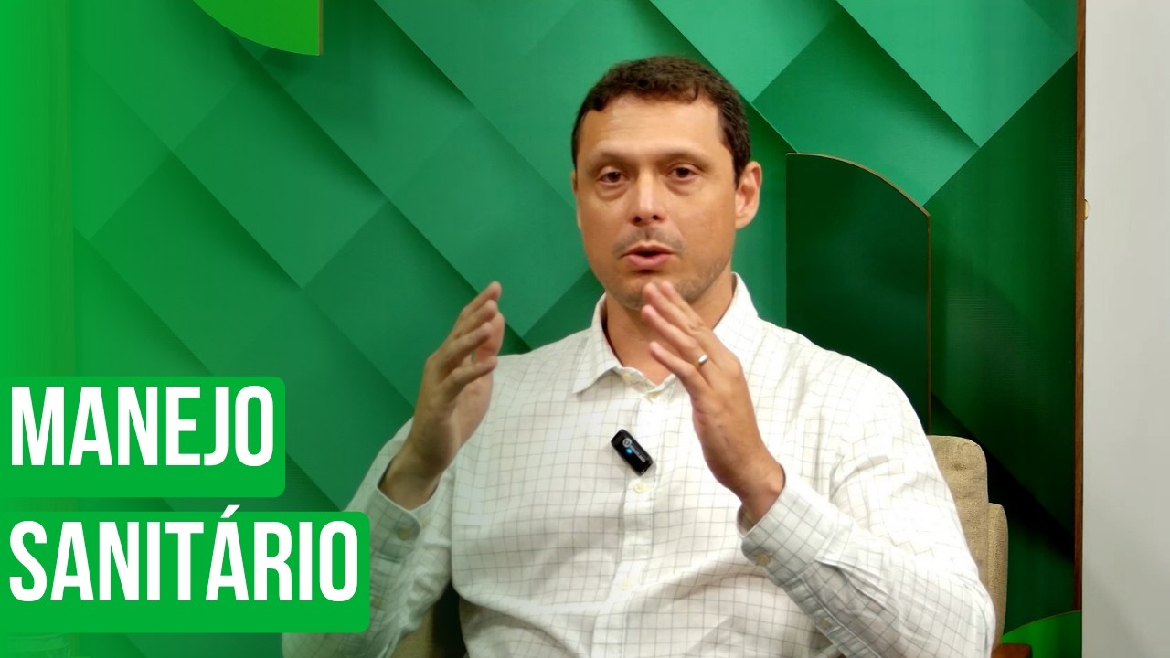 GO: prazo para declaração do rebanho