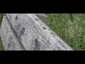 vlieg: salto achterover en stabiele landing 2-7 en 4.10-4.35
