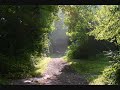 Summer fields Fable Soundtrack